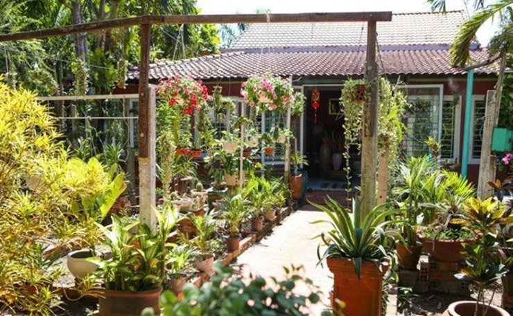 Biệt thự sân vườn giữa lòng TP của nam ca sĩ điển trai 'hiền nhất trong giới thị phi': Rộng 3.000m2 phủ toàn cây xanh, thiết kế độc đáo- Ảnh 5. Biệt thự sân vườn giữa lòng TP của nam ca sĩ điển trai 'hiền nhất trong giới thị phi': Rộng 3.000m2 phủ toàn cây xanh, thiết kế độc đáo- Ảnh 5.
