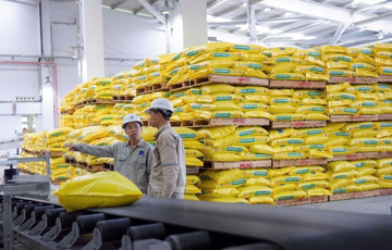 DPM tăng mạnh 45%, Đạm Phú Mỹ chốt thưởng cổ phiếu tỷ lệ cao