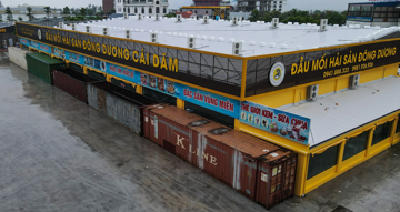 Người dân chi 54 triệu đồng/ngày thuê container chắn cửa chống bão Wipha