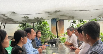 Vụ lật tàu ở Quảng Ninh: 7 học sinh Hà Nội thương vong