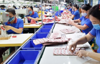 Một ngành vừa lặng lẽ thu về 14 tỷ USD, xuất khẩu vững vàng ở vị trí thứ 3 thế giới