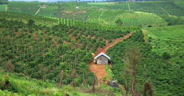 Từ bây giờ, đất nông nghiệp được phép kết hợp nhiều mục đích mà không cần chuyển đổi