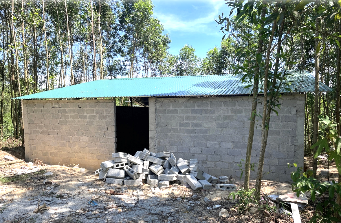 duong-sat-cao-toc-bac-nam-quang-tri-2.png
