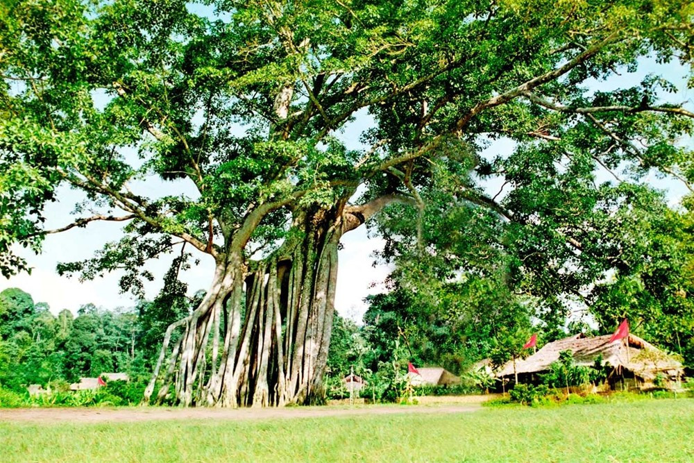 Ngôi làng duy nhất ở Việt Nam không có liệt sĩ dù hàng trăm người ra trận, từng là nơi ở và làm việc của Bác Hồ, Đại tướng Võ Nguyên Giáp - ảnh 4