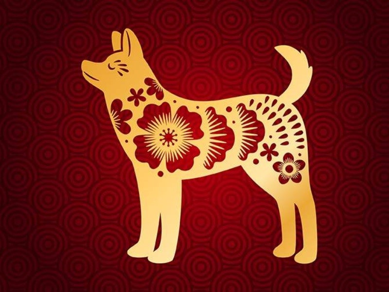 Bước sang tháng 6 âm lịch (nhuận), các tuổi Sửu, Dần, Mão, Hợi hãy chú ý - ảnh 3