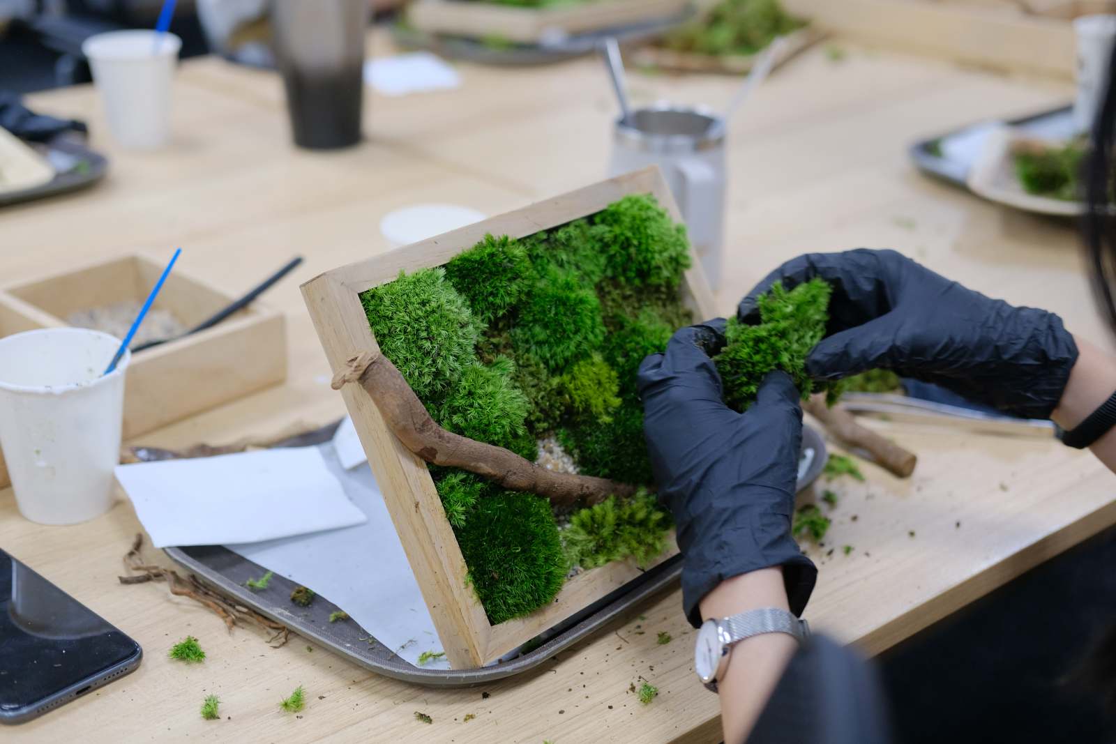 Fusion Suites Vung Tau, chương trình ưu đãi, ưu đãi lưu trú, vũng tàu, du lịch biển