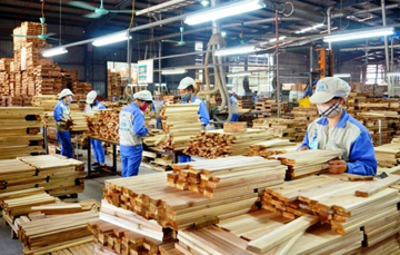 4,6 tỷ USD chảy về từ Mỹ chỉ sau nửa năm nhưng xuất khẩu gỗ vẫn trong vùng rủi ro thuế quan