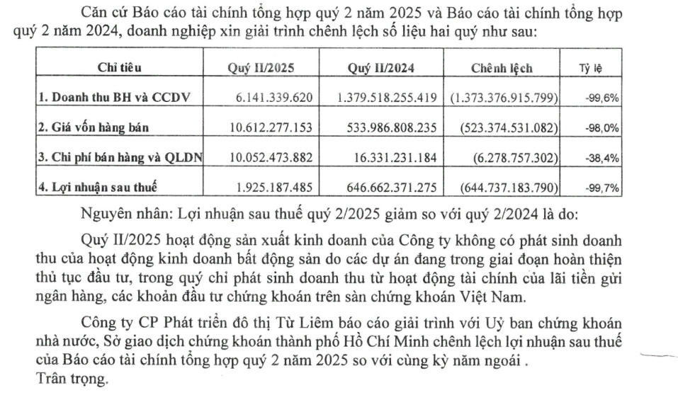 Một doanh nghiệp bất động sản 'bốc hơi' 99% lợi nhuận, đem hàng trăm tỷ đổ vào cổ phiếu <a style='text-decoration: none;' href='/TCH'>TCH</a>, <a style='text-decoration: none;' href='/PAN'>PAN</a>, <a style='text-decoration: none;' href='/VAB'>VAB</a>,...