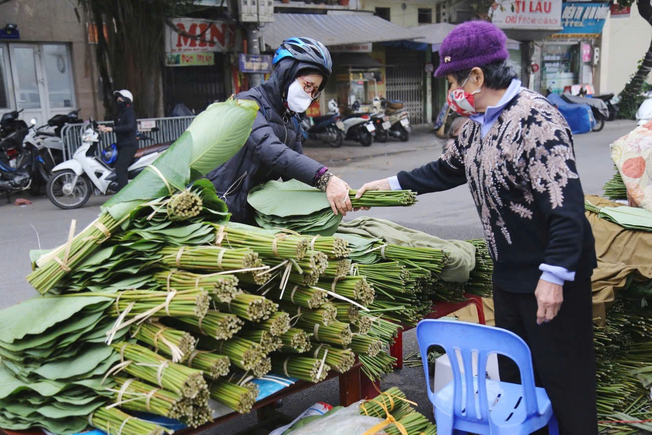 Lá cây trở thành hàng xuất khẩu tiền tỷ. Ảnh: Thanh Huyền. Lá cây trở thành hàng xuất khẩu tiền tỷ. Ảnh: Thanh Huyền.