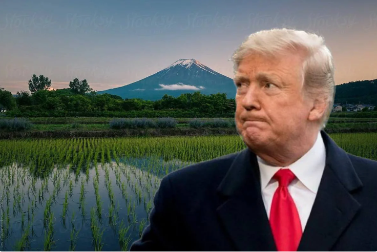 Ông Trump phàn nàn Nhật Bản không mua gạo Mỹ, Tokyo đáp trả cực gắt - ảnh 1