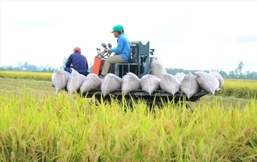 Thứ trưởng Nông nghiệp lo nông sản Việt 'vấp' ở thị trường lớn