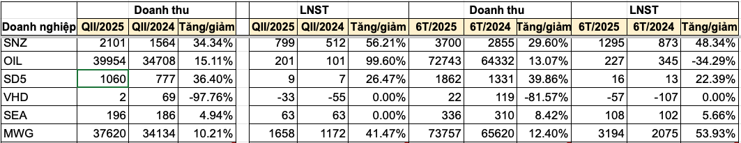 Cập nhật BCTC quý II/2025: Có ông lớn bất động sản khu công nghiệp lãi 800 tỷ