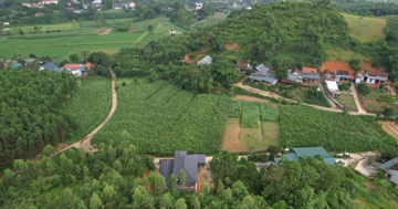 Gần 50 điểm nguy cơ sạt lở tại Ba Vì, Chủ tịch Hà Nội yêu cầu khẩn trương xử lý