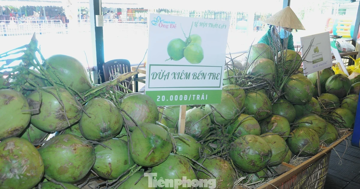 Hậu sáp nhập 3 tỉnh, doanh thu dừa tươi dồn về 1 mối lớn nhất nước
