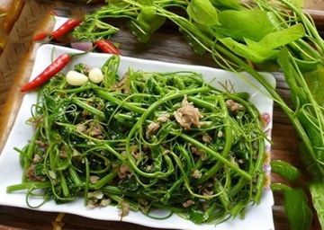 Loại rau 'quê mùa' ngày nào nay thành đặc sản đắt khách, ai ăn cũng nhớ: Giá tới 90.000 đồng/kg, vào thực đơn nhà hàng