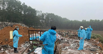 Thanh Hóa: Dịch tả lợn Châu Phi xuất hiện tại 61 xã, phường và nguy cơ lan rộng