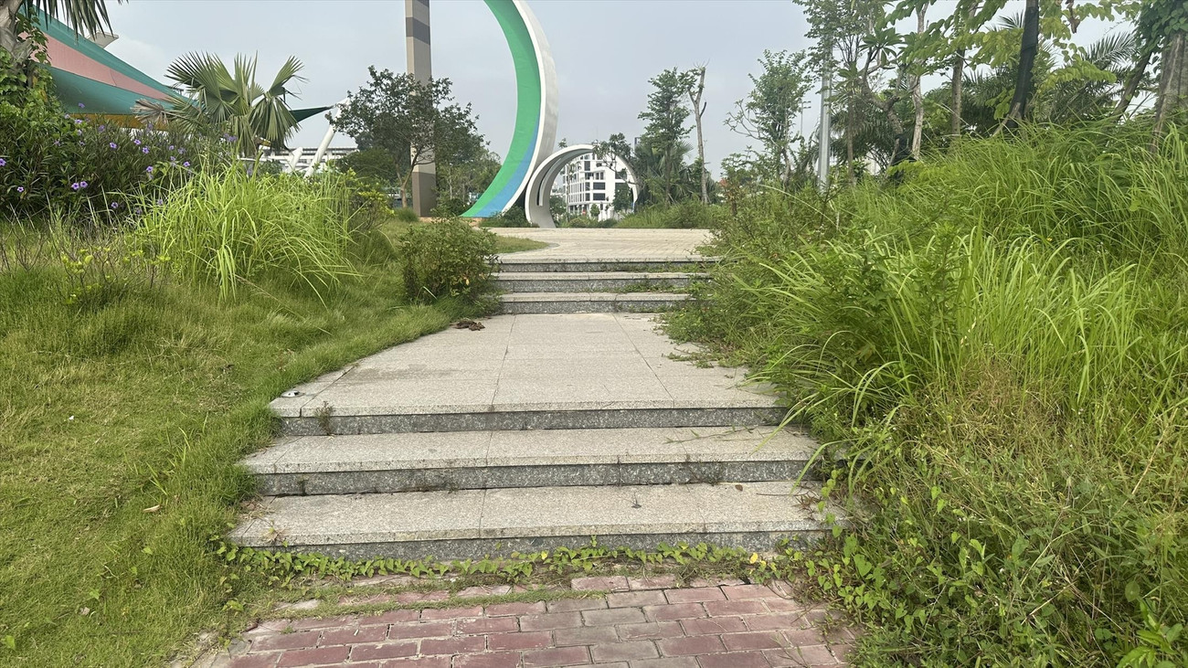 Trong vườn hoa Ngọc Thụy, cây cỏ mọc um tùm che cả lối đi z6854552849695-bad79cdcd3a5d47a9e5d3dea29036010.jpg