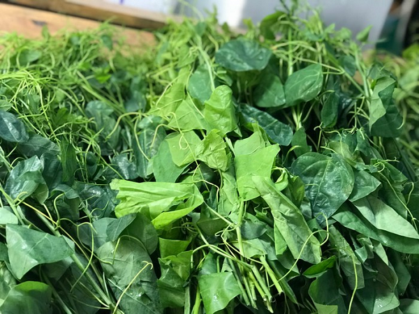 Loại rau 'quê mùa' ngày nào nay thành đặc sản đắt khách, ai ăn cũng nhớ: Giá tới 90.000 đồng/kg, vào thực đơn nhà hàng