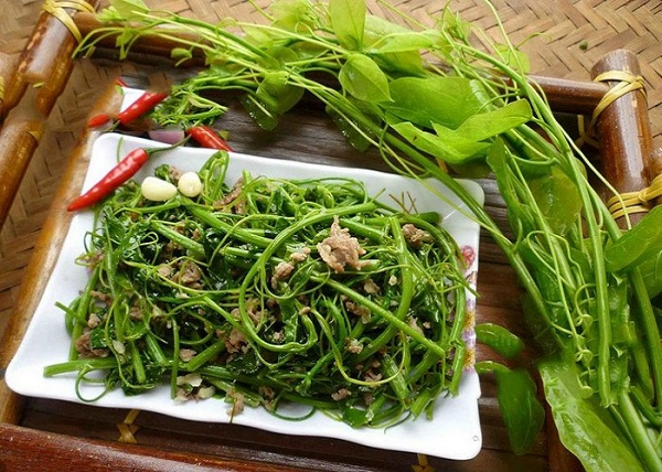 Loại rau 'quê mùa' ngày nào nay thành đặc sản đắt khách, ai ăn cũng nhớ: Giá tới 90.000 đồng/kg, vào thực đơn nhà hàng