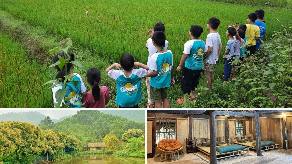 Rời <a style='text-decoration: none;' href='/VTV'>VTV</a>, từ bỏ sự nghiệp giảng dạy, MC Minh Trang gây ấn tượng khi lập mô hình trại hè triệu đô giữa núi rừng