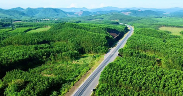 Chiêm ngưỡng tuyến cao tốc duy nhất qua 'kho báu' sinh học quốc gia của Việt Nam vừa khởi công