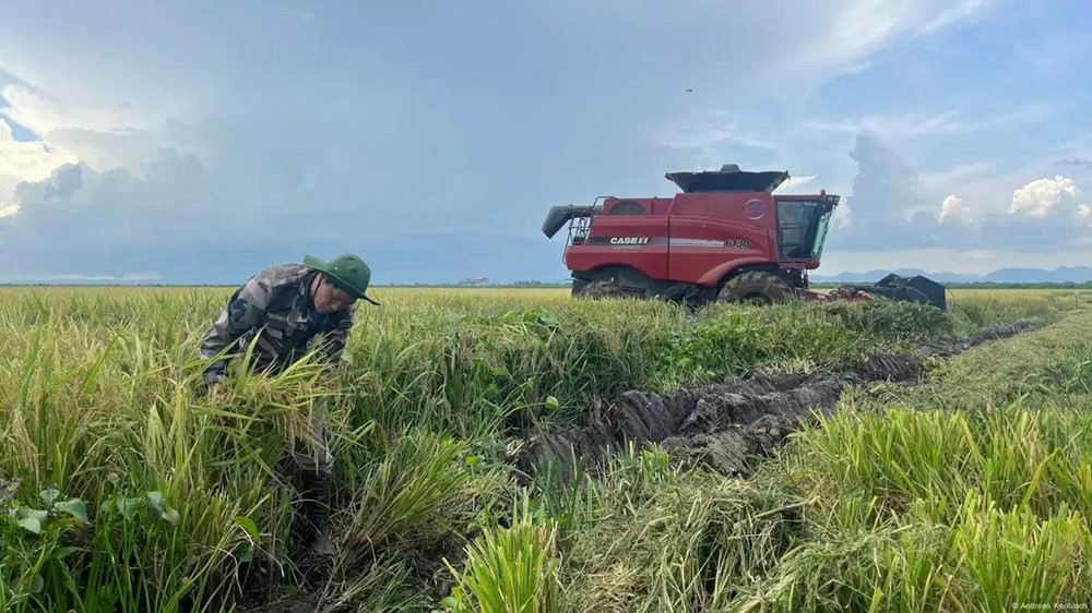 Cuba ‘mở cửa’ đất nông nghiệp sau 65 năm đóng kín, doanh nghiệp Việt làm nên lịch sử - ảnh 1
