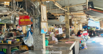 Nhiều sạp hàng đóng cửa vì dịch tả lợn châu Phi
