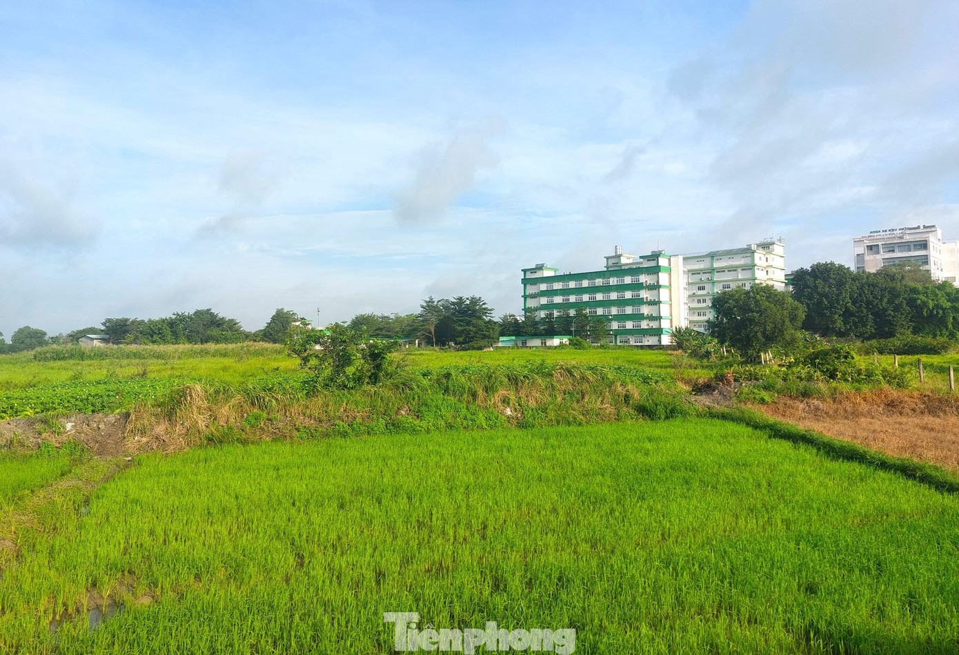 tp-du-an-5.jpg