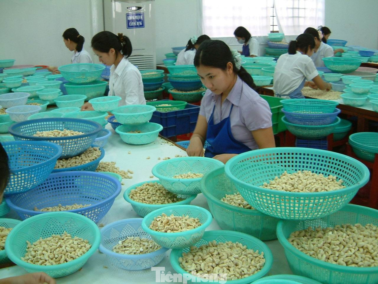 Chế biến sâu là một trong những giải pháp của doanh nghiệp hiện nay tp-trai-cay-uyen-phuong-1.jpg