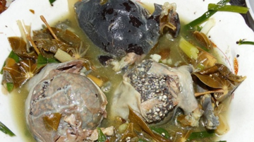 Loại ếch nhìn 'kinh dị' nhưng là đặc sản mùa mưa 'bụng tròn vo', giá tới 320.000 đồng/kg