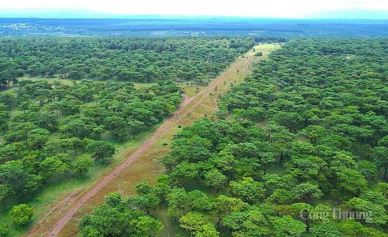 Dự án 2.280 tỷ đồng của Tập đoàn <a style='text-decoration: none;' href='/FLC'>FLC</a> nhận được chỉ đạo gỡ vướng