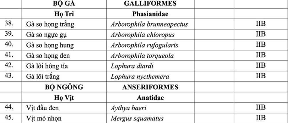 Ngoài gà lôi trắng, đây là những loại gà, vịt thuộc nhóm nguy cấp, quý hiếm: Người dân lưu ý tránh mắc sai lầm - ảnh 2
