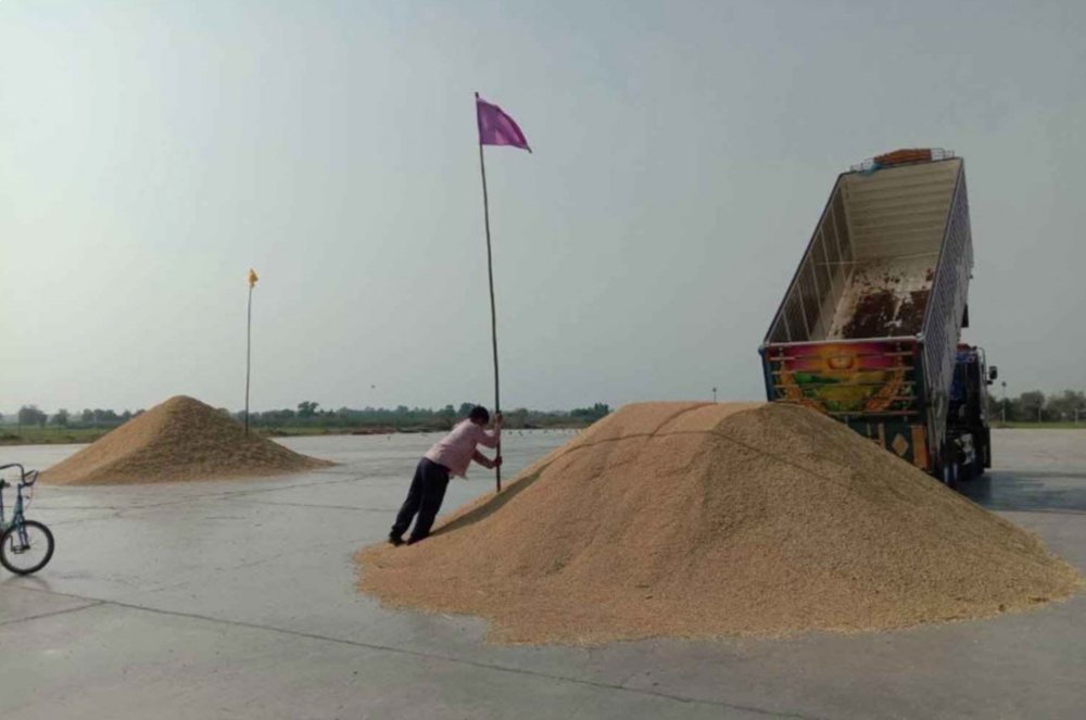 Thái Lan đẩy mạnh xuất khẩu 'hạt ngọc trời' sang 5 thị trường châu Á, quyết cạnh tranh với Việt Nam - ảnh 1