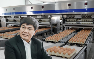 Giá trứng tăng cao, Hòa Phát (HPG) 'hái quả ngọt' với 1 triệu quả bán ra mỗi ngày