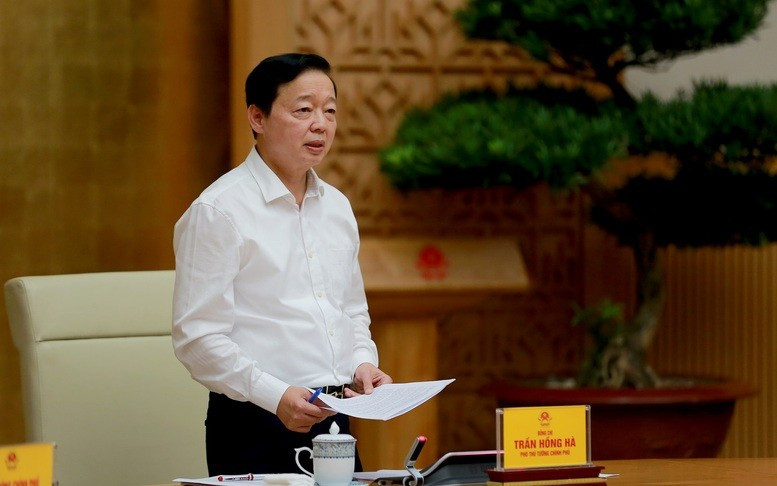 tienphong-138tranhongha.jpg