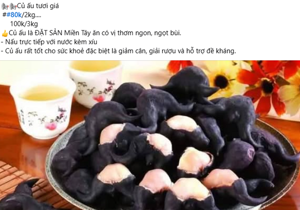 Loại củ mọc dưới bùn từng bị lãng quên, nay thành đặc sản được săn lùng ở thành phố giá 45.000 đồng/kg