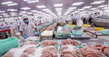 Nghịch lý tiêu chuẩn kép nông sản Việt - kỳ 2: Thủy sản lép vế trên sân nhà