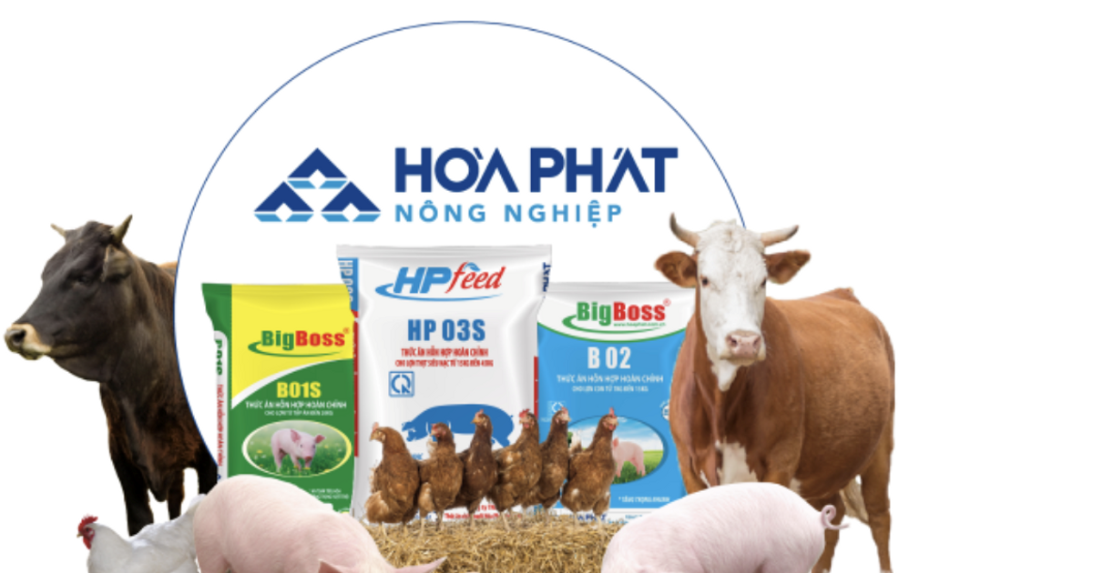 Vua thép Hòa Phát (<a style='text-decoration: none;' href='/HPG'>HPG</a>) thắng lớn trong chuồng gà, đàn gà sắp Nam tiến