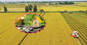 Chi tiết cách chuyển đổi đất nông nghiệp sang đất thổ cư mới nhất 2025