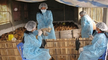 Doanh nghiệp tới tận trường săn đón, thu nhập 30 triệu đồng/tháng: Một ngành tại Học viện Nông nghiệp Việt Nam âm thầm lên ngôi