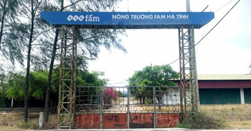 Khu nông nghiệp công nghệ cao 300 tỷ của FLC hóa bãi đất hoang sau 7 năm