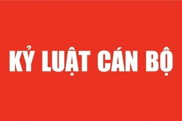 Bộ Chính trị, Ban Bí thư xem xét, thi hành kỷ luật tổ chức đảng, đảng viên vi phạm