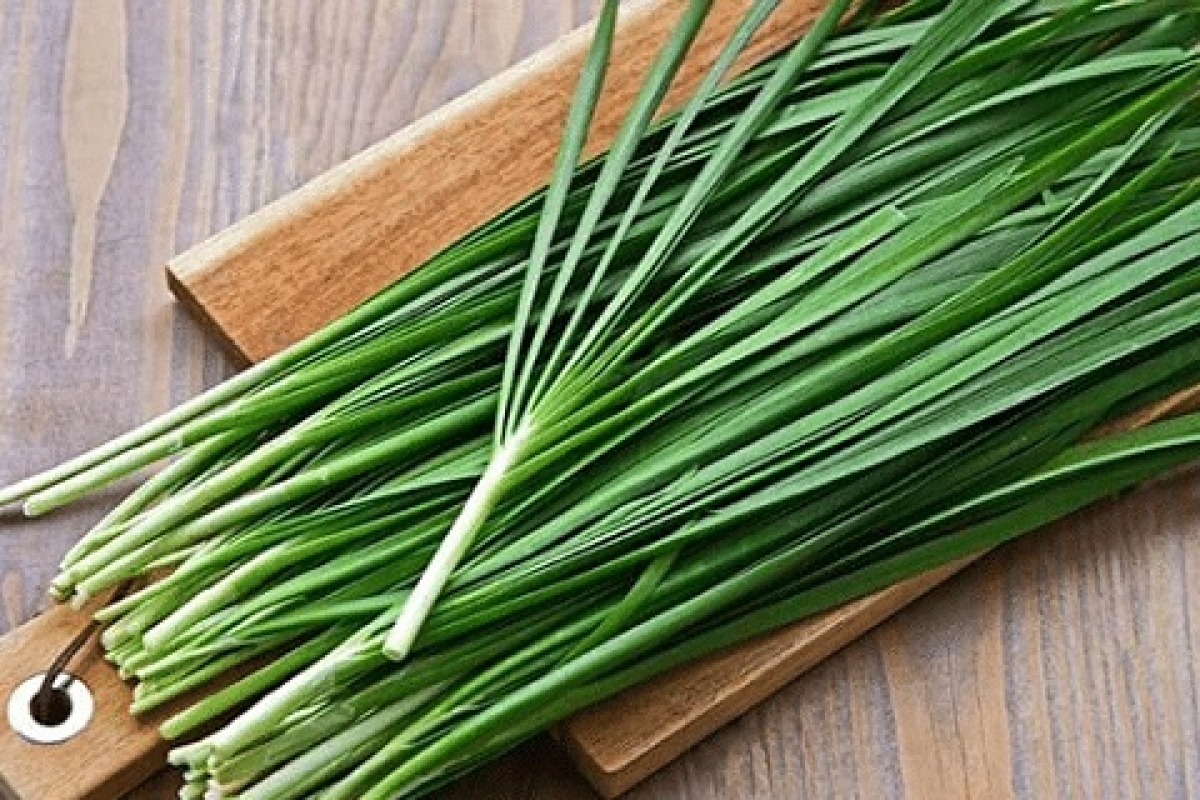 Loại lá xưa có đầy chẳng ai ngó giờ lên tầm đặc sản, được mệnh danh 'rau của thận': Chợ Việt bán đầy lại rẻ