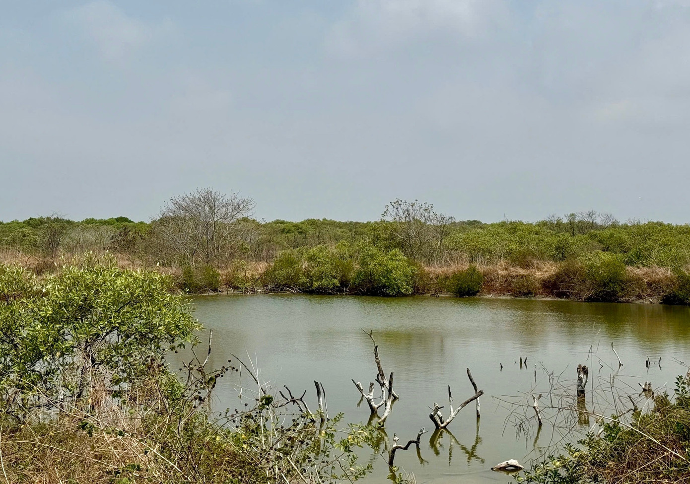 Theo UBND tỉnh Lâm Đồng, Dự án Công viên Hùng Vương ở phường Phú Thủy được HĐND tỉnh Bình Thuận cũ phê duyệt từ năm 2019. Song, nhiều thủ tục chậm trễ, đặc biệt là khâu đền bù, giải phóng mặt bằng, khiến dự án kéo dài. img-7139.jpg