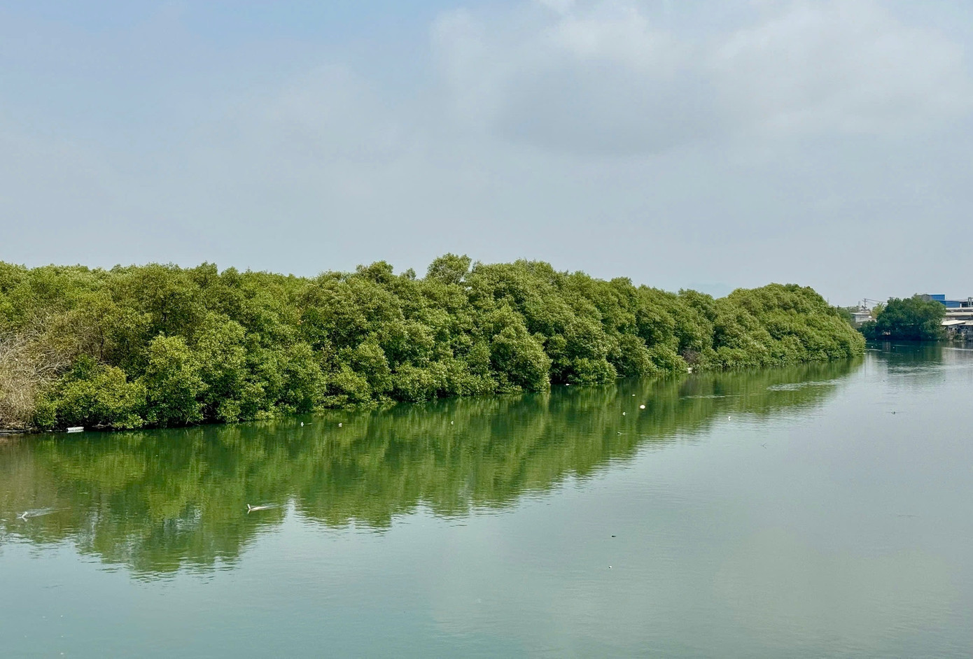 Năm 2020, dự án chính thức được phê duyệt với tổng vốn gần 300 tỷ đồng. Theo quy hoạch, trên diện tích hơn 30ha, trong đó 12ha đất dân cư, thương mại dịch vụ và 18ha công viên. Phần đất 12ha được dự kiến bán đấu giá để lấy kinh phí xây dựng công viên. img-7140.jpg