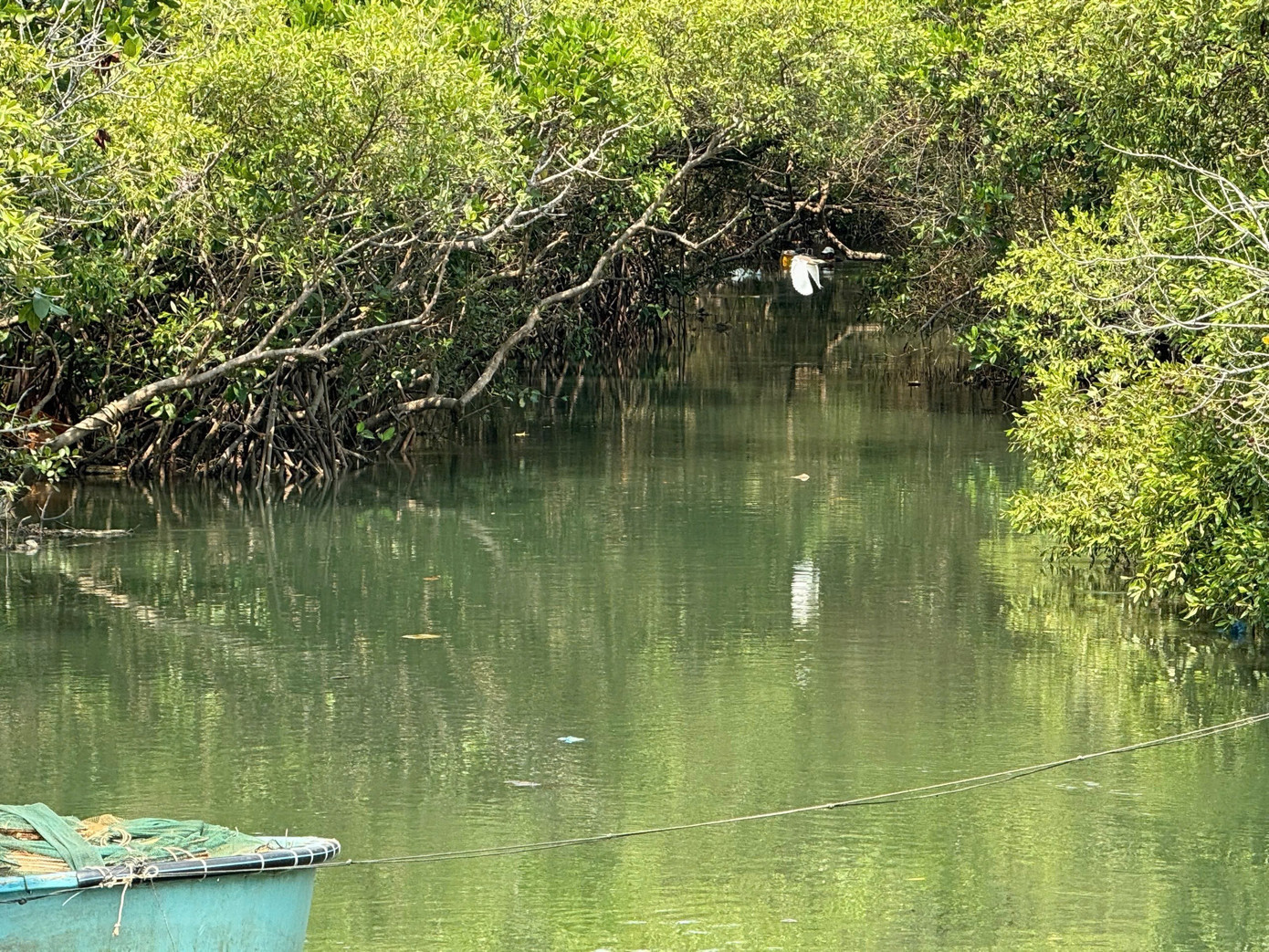 Nhận thấy vấn đề bê tông hoá, đến tháng 5/2021, thường trực tỉnh Bình Thuận cũ quyết định hủy toàn bộ phần biệt thự, cao ốc, giữ trọn vẹn rừng ngập mặn làm công viên sinh thái. img-7142.jpg