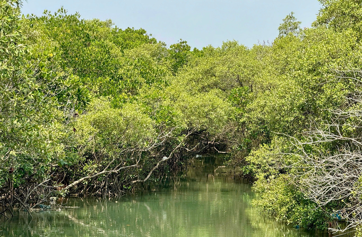 Theo ông Nguyễn Minh - Phó Chủ tịch UBND tỉnh Lâm Đồng, các công việc triển khai dự án thời gian qua còn chậm. Kế hoạch dự kiến trình UBND tỉnh phê duyệt dự án vào đầu tháng 10 năm nay và bàn giao mặt bằng để khởi công vào dịp kỷ niệm Ngày thành lập Đảng Cộng sản Việt Nam năm 2026. img-7143.jpg