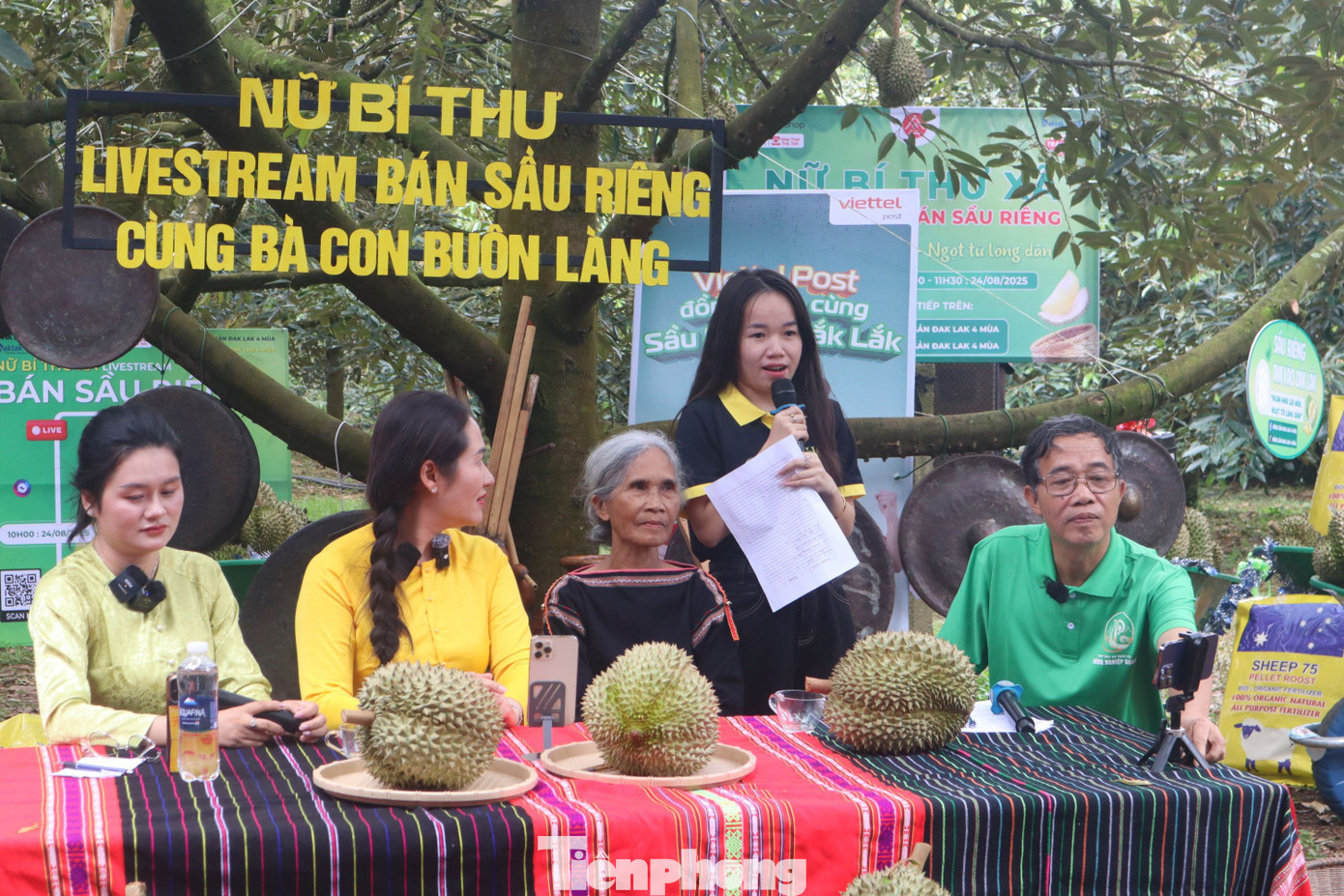 Phiên livestream được thực hiện ngay tại vườn sầu riêng và không có sự tham gia của các KOL. Qua đây khẳng định năng lực tự chủ về nội dung, khả năng vận hành và cam kết chất lượng của địa phương. tp-101.jpg