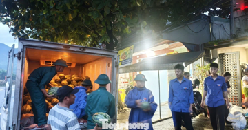 Bão số 5 áp sát, cả phường ngược xuôi giải cứu dưa hấu
