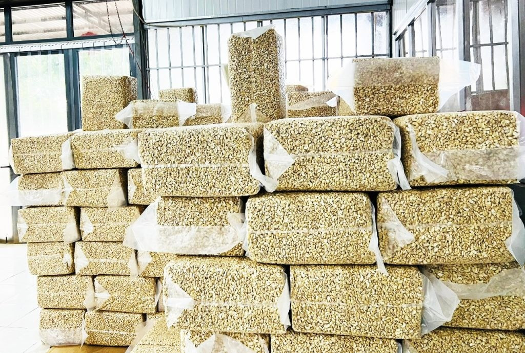 Việt Nam liên tiếp 18 năm duy trì vị thế xuất khẩu điều nhân lớn nhất thế giới. Ảnh minh họa: IT. dong-goi-hat-dieu-xuat-khau-1024.jpg